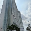 다이렉트 엠 | 엘라의 베뉴투어 : 26년 하반기 호텔나루엠갤러리 웨딩홀 견적 공유, 예식장 홀투어, 식대, 대관료