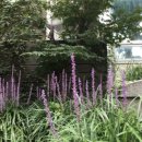 중동 우체국앞 이미지