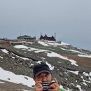 신바람 하모니카 이미지