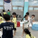 힘찬 태권도 이미지