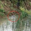 수달 화장실 이미지