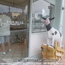 울산/언양 아이스크림카페 : 본밀크(Bon Milk)