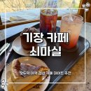 커피마실 | 기장 카페 데이트 쇠마실 기장 커피 맛집 맞을까? 솔직후기