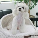 꼬지하우스 이미지