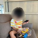제주공항 근처 카페 용담해안도로 폴바셋 제주용담DT점 방문후기