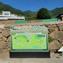 내친 김에 또 떠나본 경남 하동 여행 7편 정금 차밭 단금정 쌍계사 송림 공원