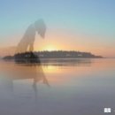 축제의 바다 이미지