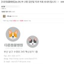 오오치과병원 | [부산 대연동 동물병원] 8살 고양이 종합검진 및 치과 스케일링 후기 (부산 다온동물병원)