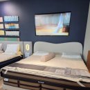 뉴슬립 | 내돈내산 베스트슬립 엘라비아C4 매트리스, 뉴파커다크브라운 프레임 추천 후기