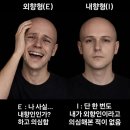 세븐일레븐 강릉경포로점 | 강릉 솔게스트하우스 파티 클럽 30대 내돈내산 후기