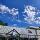 본래순대 고성점 | 8개월 아기와 강릉 1박2일 내돈내산 맛집투어(3) 갤러리밥스 초당옥수수 커피아이스크림 솔직후기