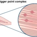 참손길안마원 이미지