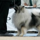 몽글몽글 이미지