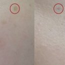 21세기미 네이버블로그