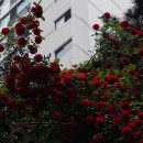 명선한의원 이미지