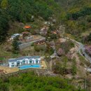 우다다애견 이미지