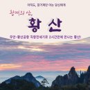 황산주 이미지