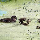 원앙공원 이미지