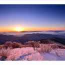 빙설화