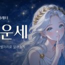 스텔라레터 프리미엄 종합 운세 후기, 별자리 운세 리뷰🌌
