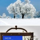 홍당