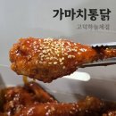 효덕새싹길 | 평택 고덕 옛날통닭 가마치통닭 고덕하늘채점 양념치킨 포장 후기
