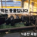 조사료 이미지