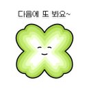 퍼니멍멍 장미애견펜션 네이버블로그