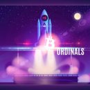 널스마켓 이미지