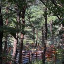 시립박물관 노리숲길 이미지