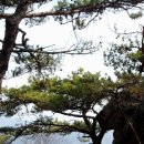 석천노모당 | [지방산-2] 수락산 - 2012. 1. 15.