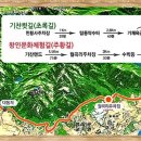 월출약국 Daum카페