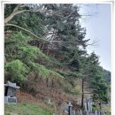 주천면 고촌마을 | (3구간 - 1)고기리에서 과연 얼마나 걸을 수 있을까?