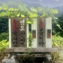 호산 | 원주 용한 신점 백호산당 후기