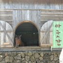 승연목장 이미지