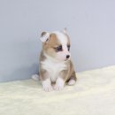 구월2동-16 이미지