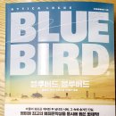 블루버드(Blue bird) 이미지
