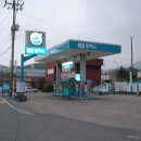신평 정류소 Daum카페