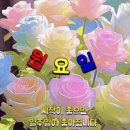 행복꽃 이미지