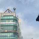 정영철피부과의원 네이버블로그