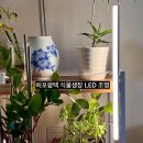 팜텍 | 공간 차지하지 않는 히포팜텍 식물생장 라이트바 식물LED조명