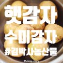 수미패션 - 김천시 중앙시장길 26 | 햇감자 산지직송 김박사농산물 수미감자로 감자조림 만들기