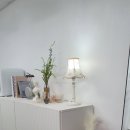 살롱도헤 이미지