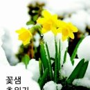 방가방가