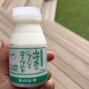 딸구네 가정식 백반 | 유후인 :기린코 호수/갓파 식당 (일본 가정식 백반)/모쿠아미잡화점/쿠마몬샵/디저트 맛집 치즈케이크...