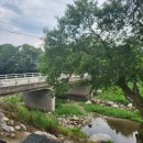 쌍둥이할머니해장국 이미지