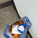 2276 | [제주 동쪽(구좌) 숙소] 성산 우도 뷰 펜션 🖤자멍🖤 침대객실 B 후기