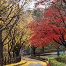 수봉공원 (망배단) 이미지