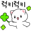 포항시북구95 이미지