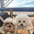 파도회집 이미지